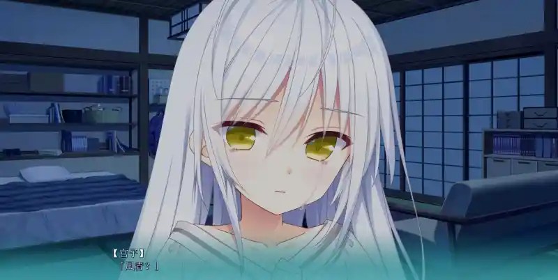 恋爱成双/Futamata Ren\'ai: Two Times the Trouble Build.19349035 官方简体中文版 PC电脑版v1.2.0配置需求与更新内容图片-2 恋爱成双/Futamata Ren\'ai: Two Times the Trouble Build.19349035 官方简体中文版 PC电脑版v1.2.0配置需求与更新内容图片-2